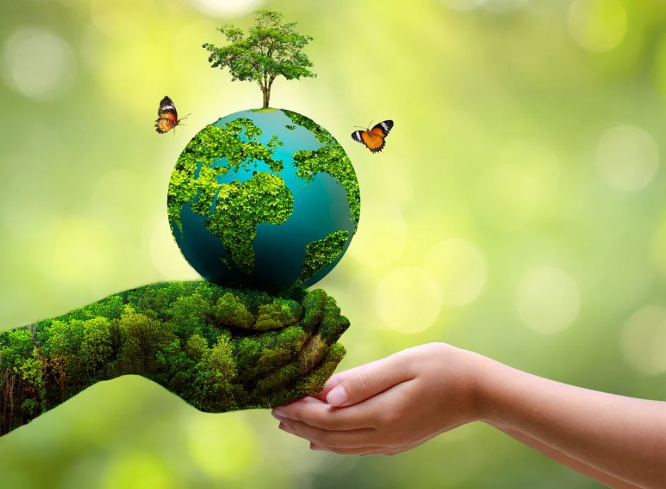 Environmental Awareness